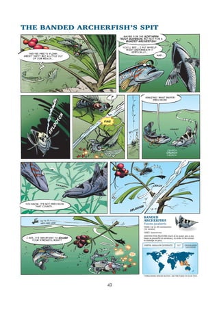 Sea creatures 02   armed &amp; dangerous