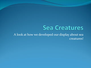 A look at how we developed our display about sea creatures! 