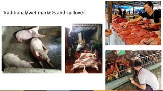 9
Traditional/wet markets and spillover
 