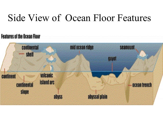 Ocean floor features diagram