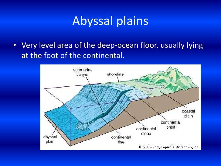 Seafloor features1