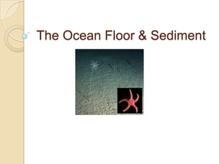 The Ocean Floor & Sediment 