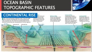 OCEAN BASIN
TOPOGRAPHIC FEATURES
CONTINENTAL RISE
 