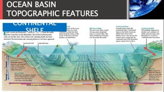 OCEAN BASIN
TOPOGRAPHIC FEATURES
CONTINENTAL
SHELF
 