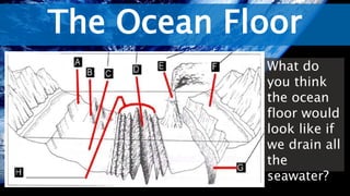 The Ocean Floor
What do
you think
the ocean
floor would
look like if
we drain all
the
seawater?
 