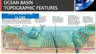 OCEAN BASIN
TOPOGRAPHIC FEATURES
CONTINENTAL
SLOPE
 