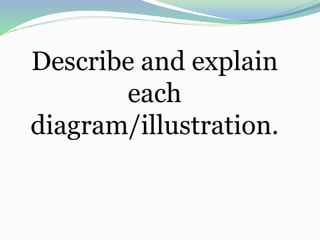 Describe and explain
each
diagram/illustration.
 