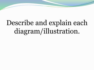 Describe and explain each
diagram/illustration.
 