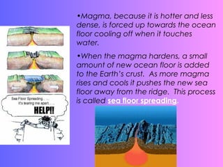 •Magma, because it is hotter and less
dense, is forced up towards the ocean
floor cooling off when it touches
water.
•When the magma hardens, a small
amount of new ocean floor is added
to the Earth’s crust. As more magma
rises and cools it pushes the new sea
floor away from the ridge. This process
is called sea floor spreading.
 