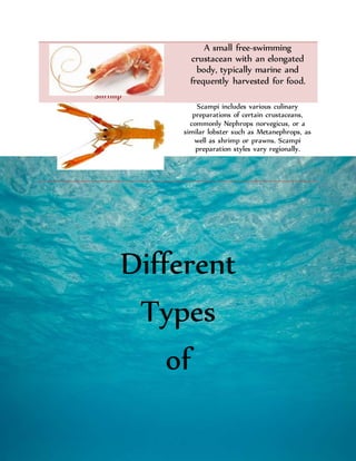 Different
Types
of
Shrimp
A small free-swimming
crustacean with an elongated
body, typically marine and
frequently harvested for food.
Scampi
Scampi includes various culinary
preparations of certain crustaceans,
commonly Nephrops norvegicus, or a
similar lobster such as Metanephrops, as
well as shrimp or prawns. Scampi
preparation styles vary regionally.
 