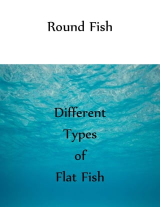 Round Fish
Different
Types
of
Flat Fish
 