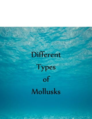 Different
Types
of
Mollusks
 