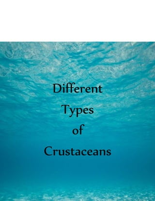 Different
Types
of
Crustaceans
 