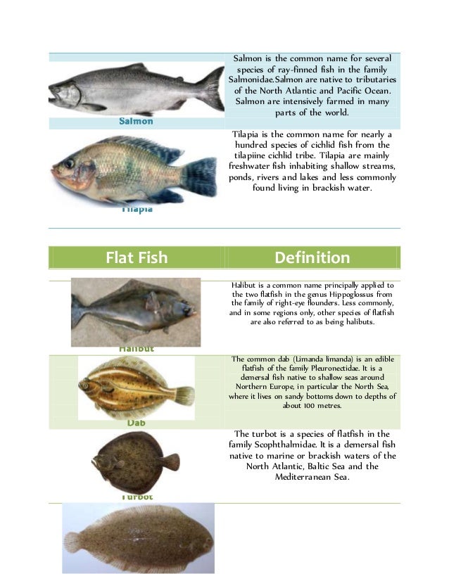 Types of Seafoods TLE 10