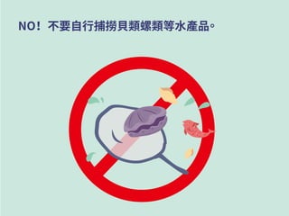 NO！ 不要自行捕撈貝類螺類等水產品。
 