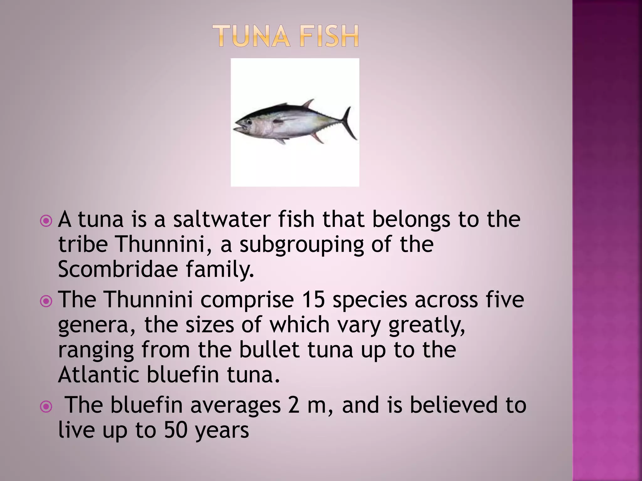 Seafood and Types | PPT