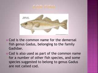 Common Cod Seafood and Types | PPTX
