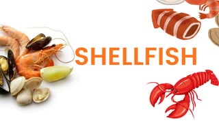Shellfish Vs Non Shellfish Classifications of SEAFOOD_fish and shellfish.pdf