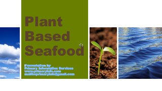 Plant
Based
Seafood
 