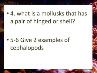 • 4. what is a mollusks that has
a pair of hinged or shell?
• 5-6 Give 2 examples of
cephalopods
 