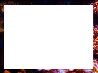 Seafood lesson for g10