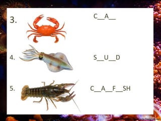 3. C__A__
4. S__U__D
5. C__A__F__SH
 