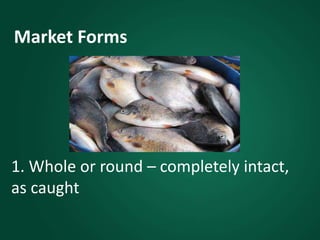 Market Forms
1. Whole or round – completely intact,
as caught
 