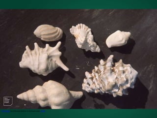 This Photo by Unknown Author is licensed under CC BY
 