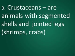 B. Crustaceans – are
animals with segmented
shells and jointed legs
(shrimps, crabs)
 