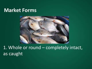 Market Forms
1. Whole or round – completely intact,
as caught
 