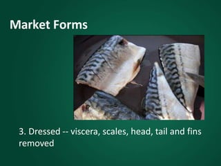 Market Forms
3. Dressed -- viscera, scales, head, tail and fins
removed
 