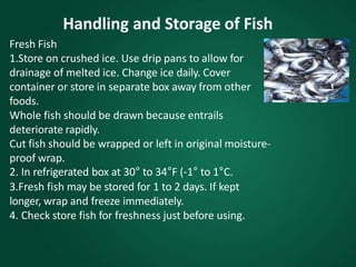 Handling and Storage of Fish
Fresh Fish
1.Store on crushed ice. Use drip pans to allow for
drainage of melted ice. Change ice daily. Cover
container or store in separate box away from other
foods.
Whole fish should be drawn because entrails
deteriorate rapidly.
Cut fish should be wrapped or left in original moisture-
proof wrap.
2. In refrigerated box at 30° to 34°F (-1° to 1°C.
3.Fresh fish may be stored for 1 to 2 days. If kept
longer, wrap and freeze immediately.
4. Check store fish for freshness just before using.
 