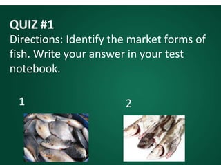 QUIZ #1
Directions: Identify the market forms of
fish. Write your answer in your test
notebook.
1 2
 