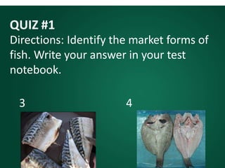 QUIZ #1
Directions: Identify the market forms of
fish. Write your answer in your test
notebook.
3 4
 