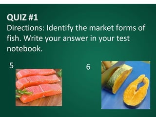 QUIZ #1
Directions: Identify the market forms of
fish. Write your answer in your test
notebook.
5 6
 
