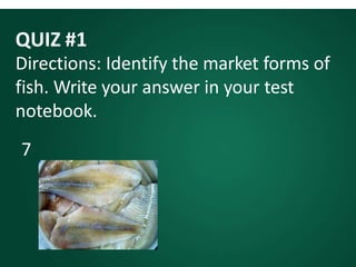 QUIZ #1
Directions: Identify the market forms of
fish. Write your answer in your test
notebook.
7
 