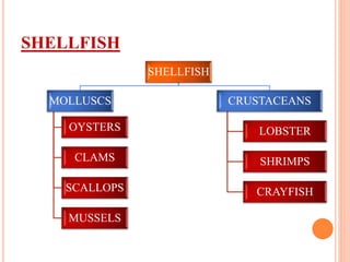 SHELLFISH
SHELLFISH
MOLLUSCS
OYSTERS
CLAMS
SCALLOPS
MUSSELS
CRUSTACEANS
LOBSTER
SHRIMPS
CRAYFISH
 