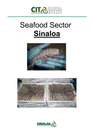 Seafood Sector
   Sinaloa
 
