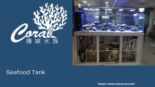 Seafood Tank
https://www.tkocoral.com/
 