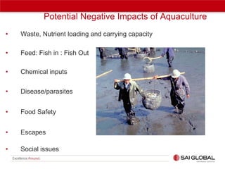 Potential Negative Impacts of Aquaculture
•

Waste, Nutrient loading and carrying capacity

•

Feed: Fish in : Fish Out

•

Chemical inputs

•

Disease/parasites

•

Food Safety

•

Escapes

•

Social issues

 