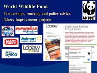 World Wildlife Fund Partnerships; sourcing and policy advice; fishery improvement projects 
