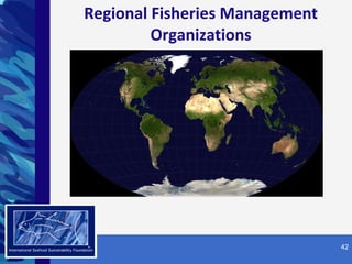 Regional Fisheries Management Organizations SM 