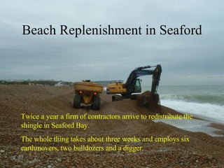 Beach Replenishment in Seaford Twice a year a firm of contractors arrive to redistribute the shingle in Seaford Bay.  The whole thing takes about three weeks and employs six earthmovers, two bulldozers and a digger. 
