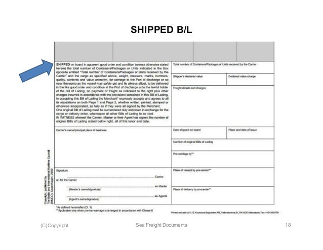 sea freight documents sea doc f bol document