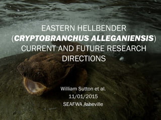 William Sutton et al.
11/01/2015
SEAFWA Asheville
EASTERN HELLBENDER
(CRYPTOBRANCHUS ALLEGANIENSIS)
CURRENT AND FUTURE RESEARCH
DIRECTIONS
 