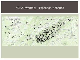 eDNA inventory – Presence/Absence
 