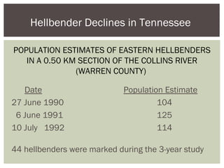 Date Population Estimate
27 June 1990 104
6 June 1991 125
10 July 1992 114
44 hellbenders were marked during the 3-year study
Hellbender Declines in Tennessee
POPULATION ESTIMATES OF EASTERN HELLBENDERS
IN A 0.50 KM SECTION OF THE COLLINS RIVER
(WARREN COUNTY)
 