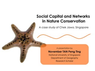 Social Capital and Networks  in Nature Conservation A case study of Chek Jawa, Singapore A presentation by November TAN Peng Ting National University of Singapore Department of Geography Research Scholar 