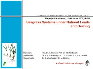Seagrass Systems under Nutrient Loads and Grazing Marjolijn Christianen, 1th October 2007, NIOO Promoters:  Prof. Dr. P. Herman, Prof. Dr. J.G.M. Roelofs Supervisors:  Dr. M.M. Van Katwijk, Dr. T.J. Bouma, Dr. L.P.M. Lamers Counterparts:  Dr. S. Wouthuyzen, Dr. M. Hutomo 