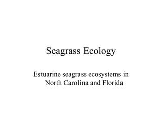 Seagrass Ecology
Estuarine seagrass ecosystems in
North Carolina and Florida
 